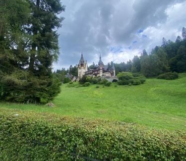 Sinaia Apartment | Sinaia Chic MiniSuite Mirage-Self Check-in