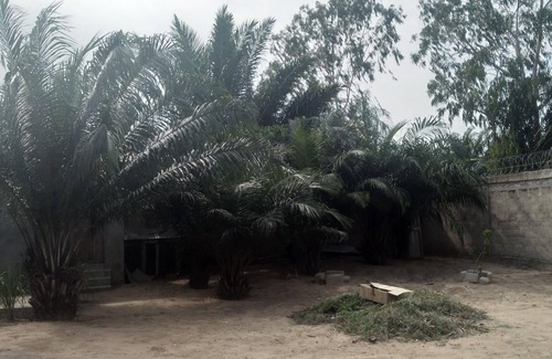 Ouidah House | Single-family homes in condominiums