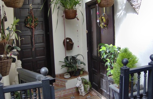 El Guincho Apartment | Single room for 1 guest with 15m² in Icod de los Vinos (120411)