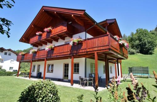 Saalfelden am Steinernen Meer Apartment | Sion 3