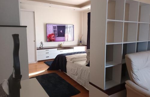 Panevezys Apartment | Skaistakalnio apartamentai