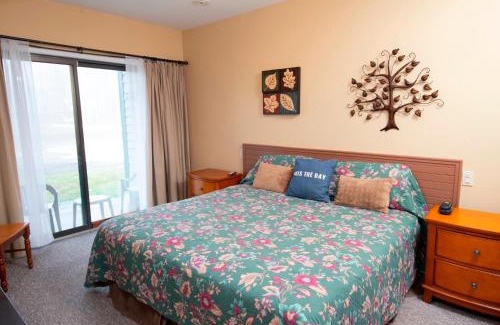 Ludlow Apartment | Ski-In, Ski-Out 2 Br Condo With View Of Ski Lift! Condo