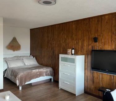 Veysonnaz Apartment | Ski-in Ski-out 4, mountain view