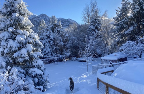 Sandy House | Skier’s dream! Gorgeous mountain views!