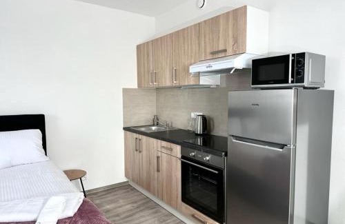 Plzen Apartment | Sky Apartments 503