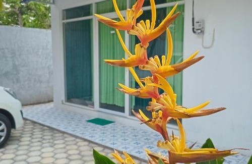 Banjarasri Bed & Breakfast | Skye Nest