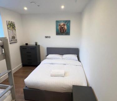 Vauxhall Apartment | Sleep 10 London Chelsea Bridge Tower bridge WRC