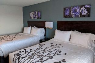 Durango Hotel | Sleep Inn Durango