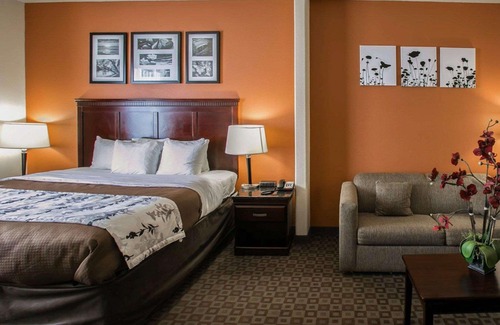 Fairbanks Hotel | Sleep Inn & Suites Highway 290 Northwest Freeway