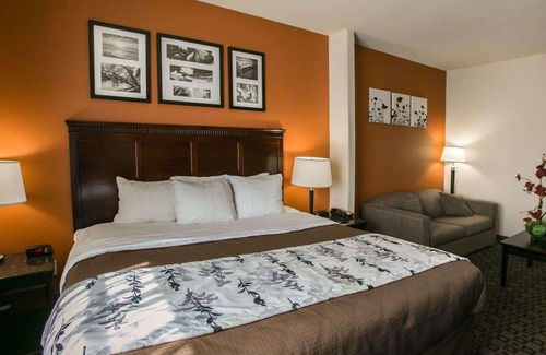 Fairbanks Hotel | Sleep Inn & Suites Highway 290 Northwest Freeway
