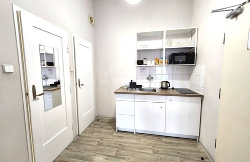 Zizkov Apartment | Sleeps 6 flat by tram Zizkov