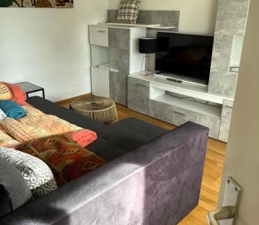 Fußach Apartment | Small attic apartment close to Lake and Mountains Fussach