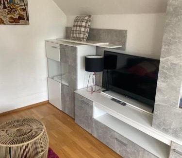 Fußach Apartment | Small attic apartment close to Lake and Mountains Fussach