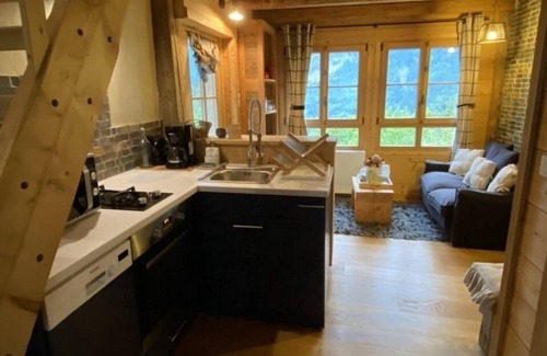 Le Petit-Bornand-les-Glieres Cottage | Small cozy n'est perched in the mountains