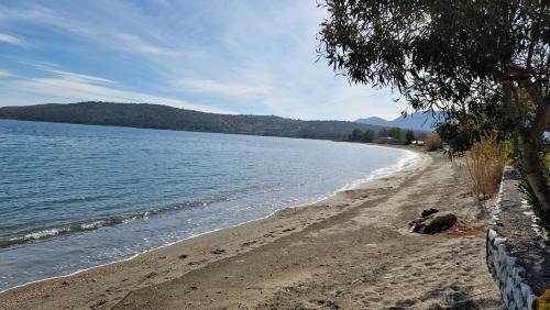Karvelas Apartment | Small paradise in kamares 8