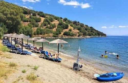 Karvelas Apartment | Small paradise in kamares 8