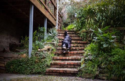 Bridgewater House | Smithy Cottage - Rustic 2 storey stone and iron cottage - near wineries - Hahndorf - nature