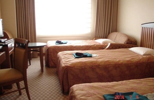 Tono Hotel | Smoking Triple for VS | Easy About 40 types/Tono Iwate