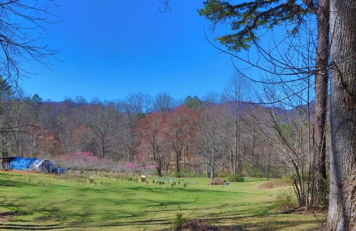 Franklin House | Smoky Mountain Getaway. Enjoy Seclusion,Views,Motorcycling, Shops w Paved Access