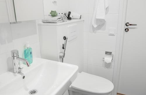 Rovaniemi Apartment | Snowflake Suites IV