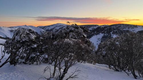 Hotham Heights House | Snowtel 4