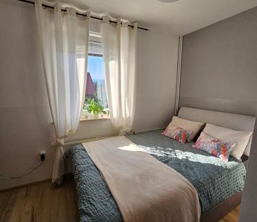 Maribor Apartment | soba v Pekrski vili