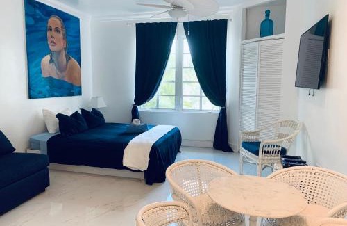 Flamingo/Lummus Apartment | SOBE OCEAN VIEW OCEAN DR charming studio -316