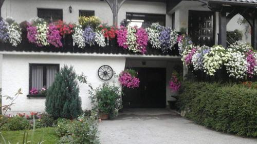 Zgornja Sorica Apartment | Sobe Tanja