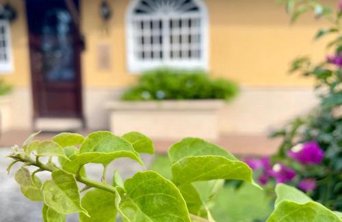Panama City Hotel | Sofia's B&B Hostal Boutique