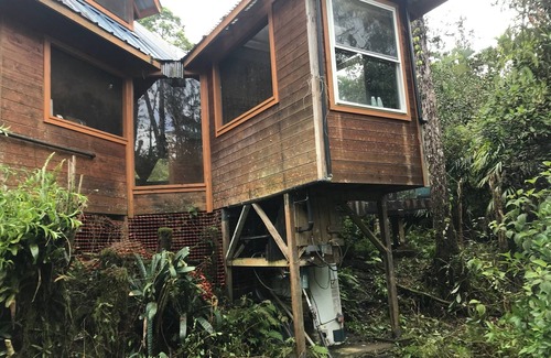 Orchidlands Estates Cottage | Solar powered bohemian loft cottage with birds, lizards, and frogs