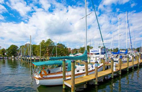 Solomons Hotel | Solomons Inn Resort and Marina