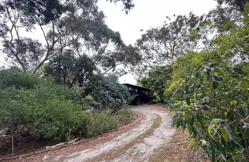 Somers House | Somers from the treetops - 200m to the beach