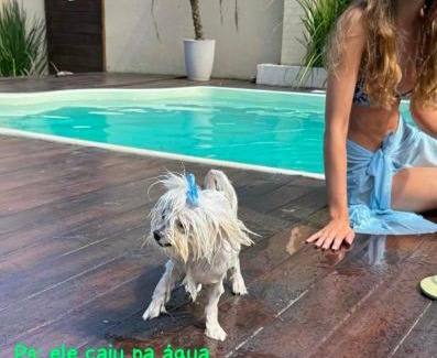 Itapoa House | Sonho Meu