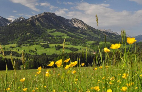 Bad Hindelang Apartment | Sonnenpark, Ihr Bett im Allgäu