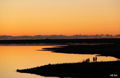 Steinar House | South Iceland Guesthouse