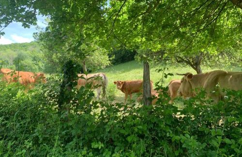 Rignac House | souvenirs rignacois