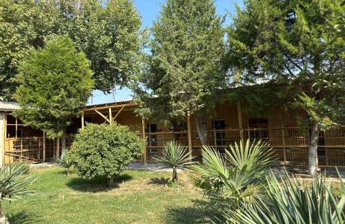 Fergana House | Soy Buyi Garden