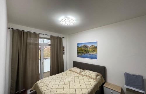 Karlovy Vary Apartment | SPA Apartment Moser