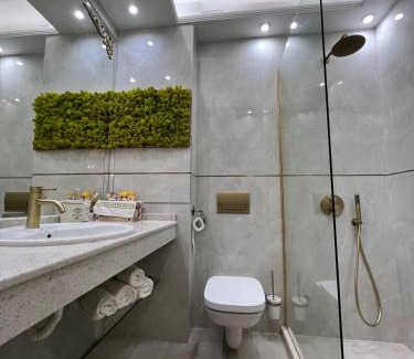 Saints Constantine and Helena Apartment | SPA Apartament Sirius house