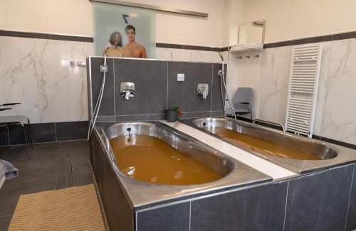 Lazne Libverda Hotel | Spa Resort Libverda - Villa Friedland