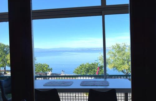 Evian-les-Bains Apartment | Spacieux appartement à Évian, proche centre et lac, pour 5 personnes, animaux acceptés - FR-1-498-7