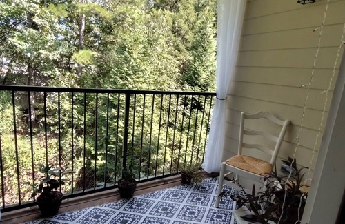 Fort Mill Apartment | Spacious 1-bedroom apt. near Carowinds with a private balcony, gym, and pool