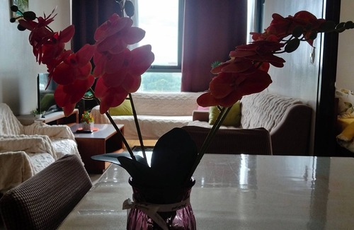 Lapu-Lapu Apartment | Spacious 3-bedroom apartment with AC and fitness room in amazing Lapu-Lapu