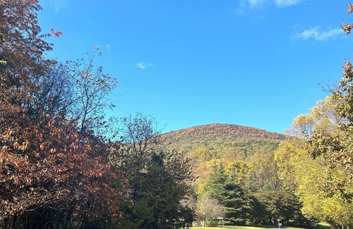 Nellysford House | Spacious 6-bedroom house in Mtns of Nellysford Spacious and Private AC, WiFi