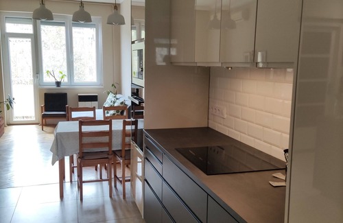 Ferencvaros Apartment | Spacious air-conditioned flat with park view and neighborhood vibes