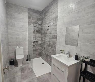 Haroldʼs Cross Apartment | Spacious and cosy house