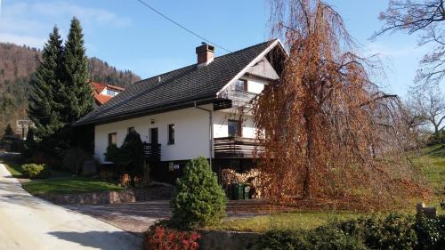 Bohinjska Bela Apartment | Spacious apartment