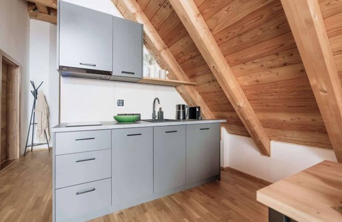 Zakopane Apartment | Spacious apartment with a view