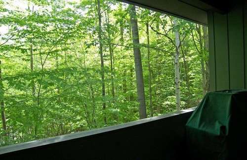 Lincoln House | Spacious, comfy, AC/FP, pool access, woods view, near Loon. C003W by LRS