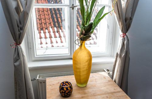 Stare Mesto Apartment | Spacious elegant apartment at the Old Town Square